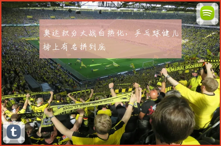 奥运积分大战白热化，乒乓球健儿榜上有名拼到底