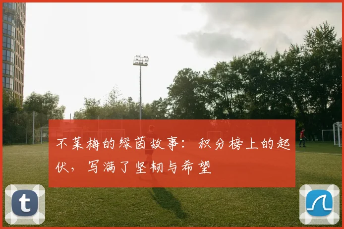不莱梅的绿茵故事：积分榜上的起伏，写满了坚韧与希望