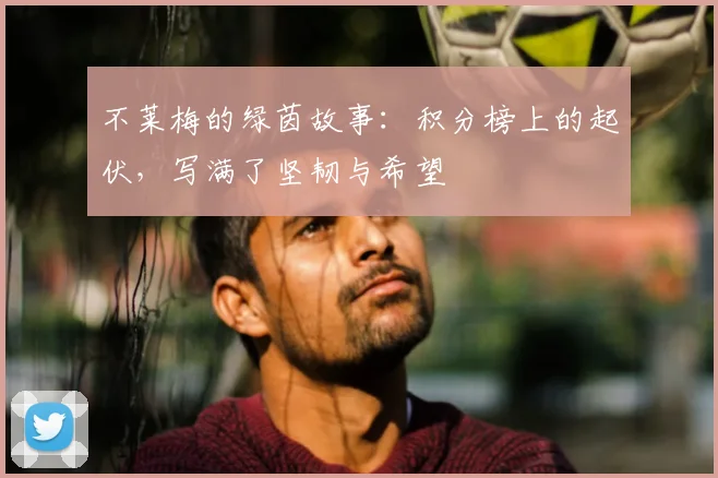 不莱梅的绿茵故事：积分榜上的起伏，写满了坚韧与希望