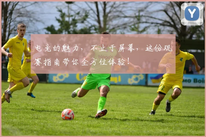 电竞的魅力,不止于屏幕,这份观赛指南带你全方位体验!