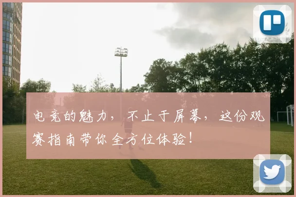 电竞的魅力，不止于屏幕，这份观赛指南带你全方位体验！