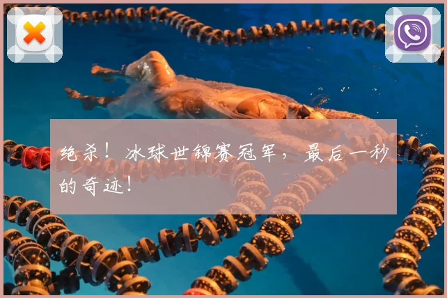 绝杀！冰球世锦赛冠军，最后一秒的奇迹！