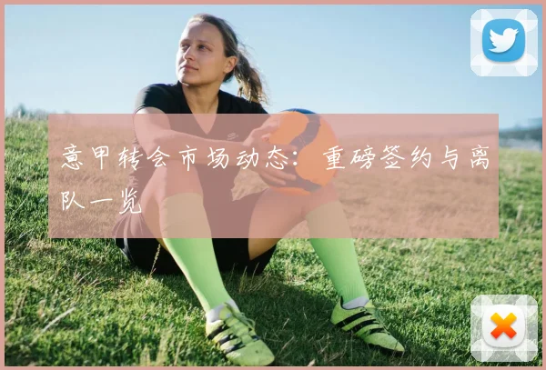 意甲转会市场动态:重磅签约与离队一览