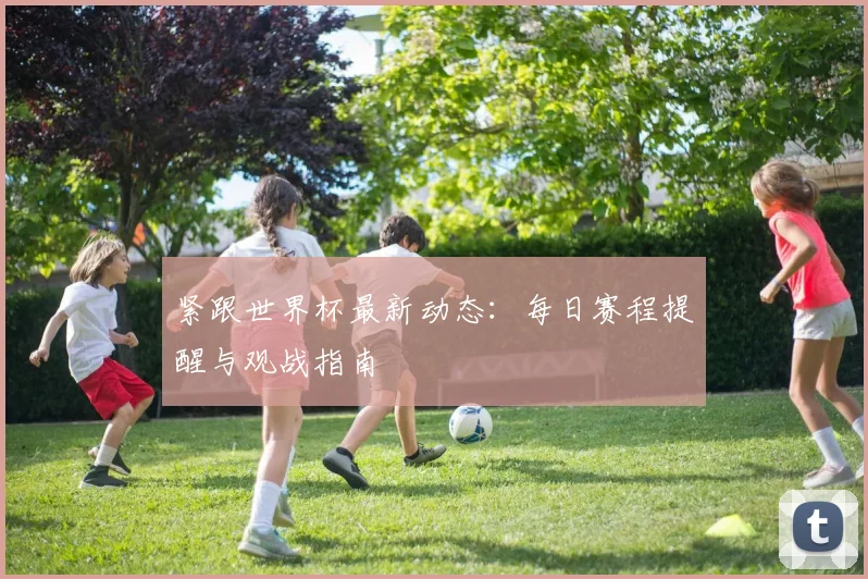 紧跟世界杯最新动态：每日赛程提醒与观战指南