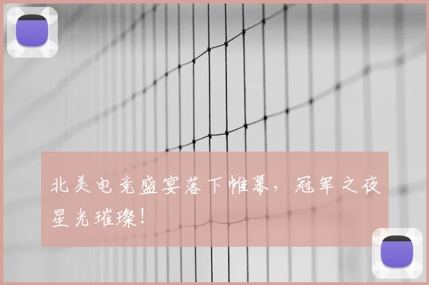 北美电竞盛宴落下帷幕,冠军之夜星光璀璨!