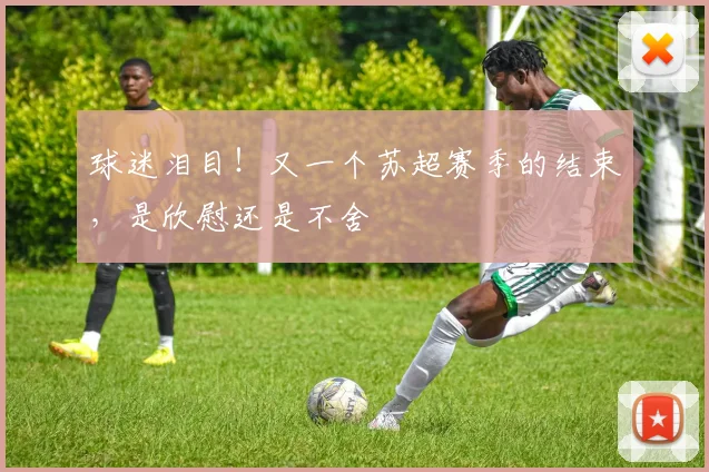 球迷泪目!又一个苏超赛季的结束,是欣慰还是不舍